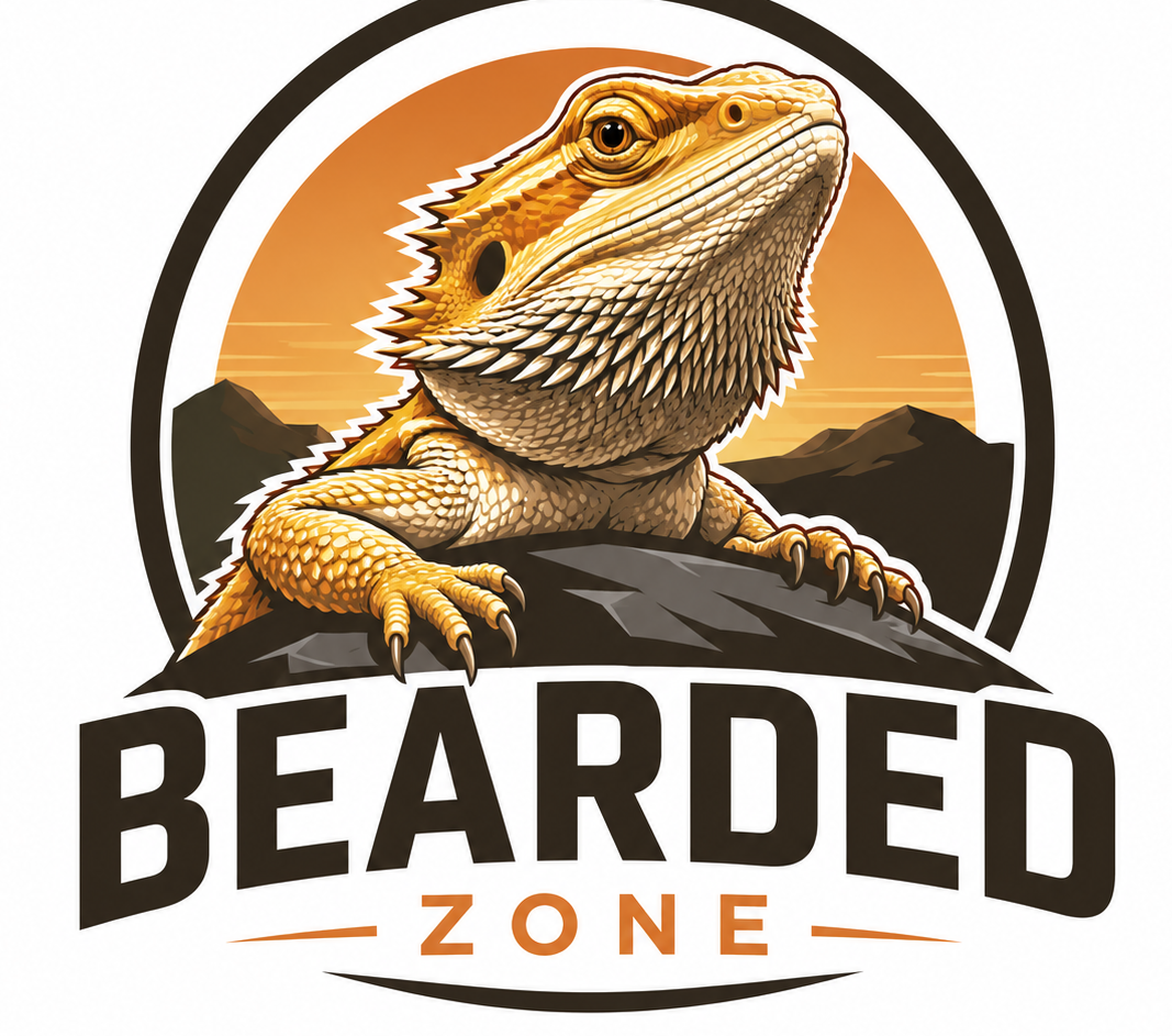 Bearded Dragon For Sale