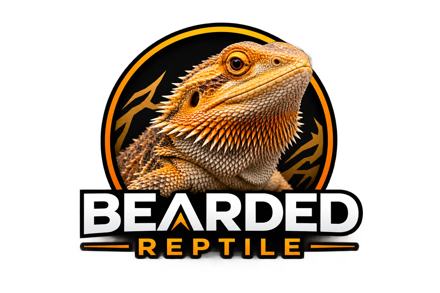 Bearded Reptile Home Canada